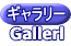 ギャラリー Gallerl 